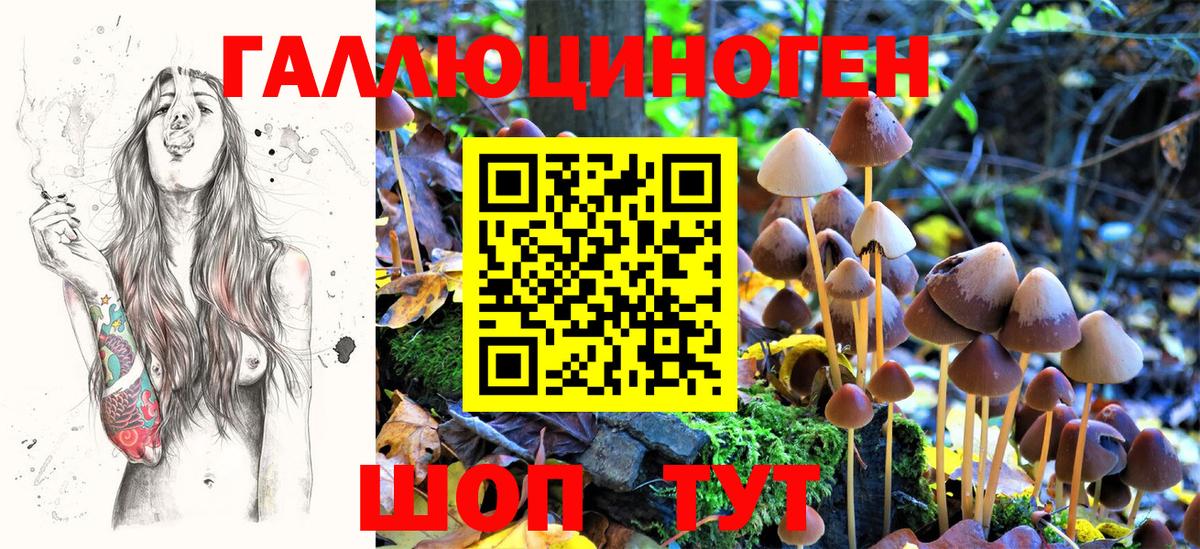 Саянск  Псилоцибиновые грибы ЛСД  Вход с VPN  Псилоцибиновые грибы GOLDEN TEACHER 